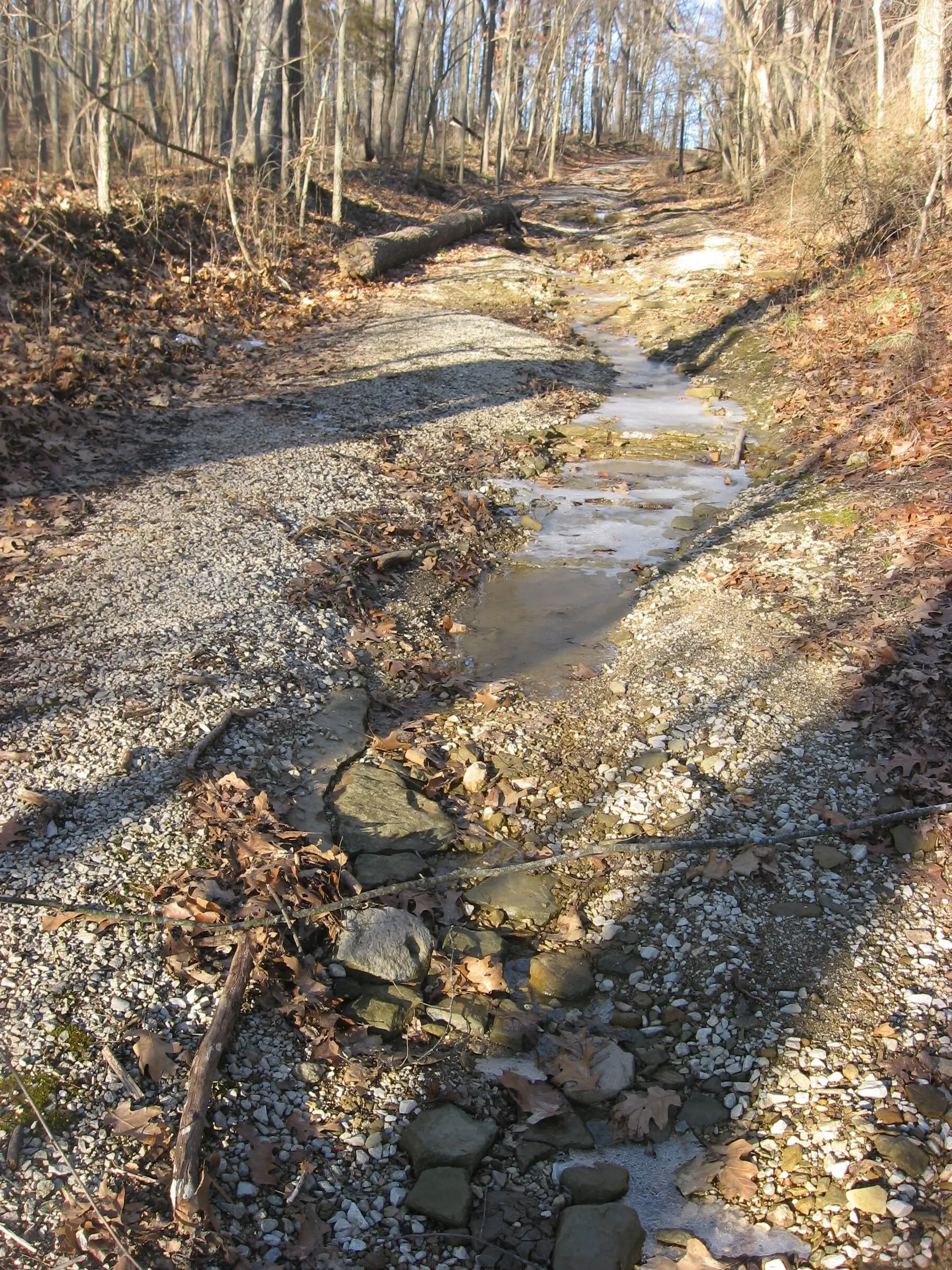 Iced-over stream, Polk Township, Monroe County, Indiana