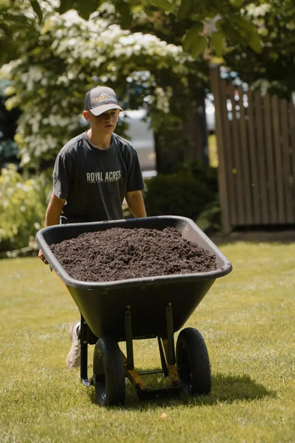A crew member pushing a wheelbarrow of soil across a lawn