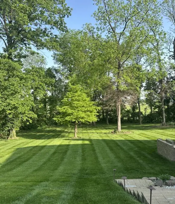 A Royal Acres landscape installation